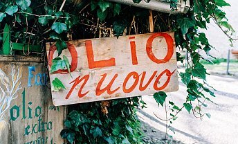 25 Novembre 2025 - Frantoio Montereggi ❒ Agriturismo Montereggi