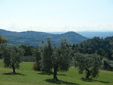 5 Oliveti nord 5 Oliveti nord