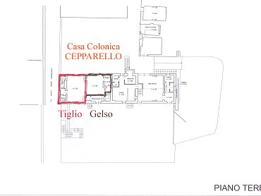 Planimetria Cepparello piano terra