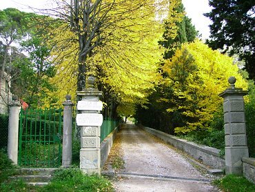 216214cc695ff3b 216214cc695ff3b