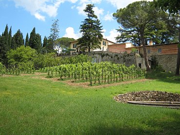 75575ee2f238542 75575ee2f238542