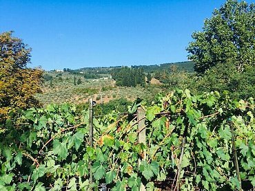 IMG-20200902-WA0002 IMG-20200902-WA0002