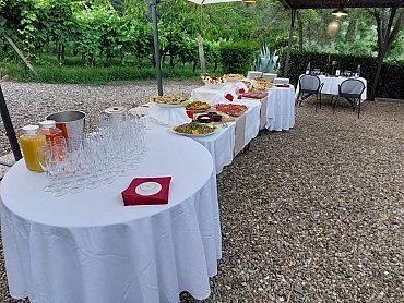 IMG-20230701-WA0011 IMG-20230701-WA0011