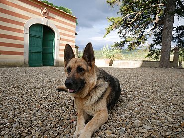 a4c24a_c79dac97aece4e0495076d91b2ec3f15~mv2_d_2500_1877_s_2 a4c24a_c79dac97aece4e0495076d91b2ec3f15~mv2_d_2500_1877_s_2