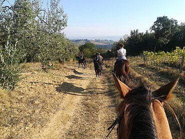 passeggiata a cavallo