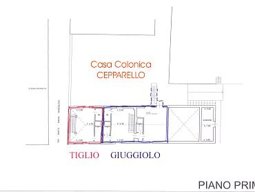 Planimetria Cepparello primo piano