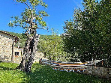 203D4080-61F6-4F2F-B048-F9C7F0AD9F1B