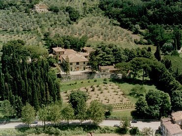 1 I Cedri B&B 1 I Cedri B&B