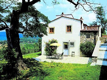 cepp7olmo1 cepp7olmo1